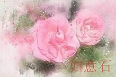辰月己土